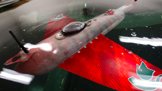 Great, Researchers Give This Creepy Cyborg Fish the Ability To Swim Forever